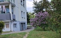 20260506_165544